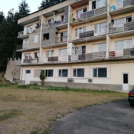 Alena'S Flat Apartment Borjomi Exterior photo