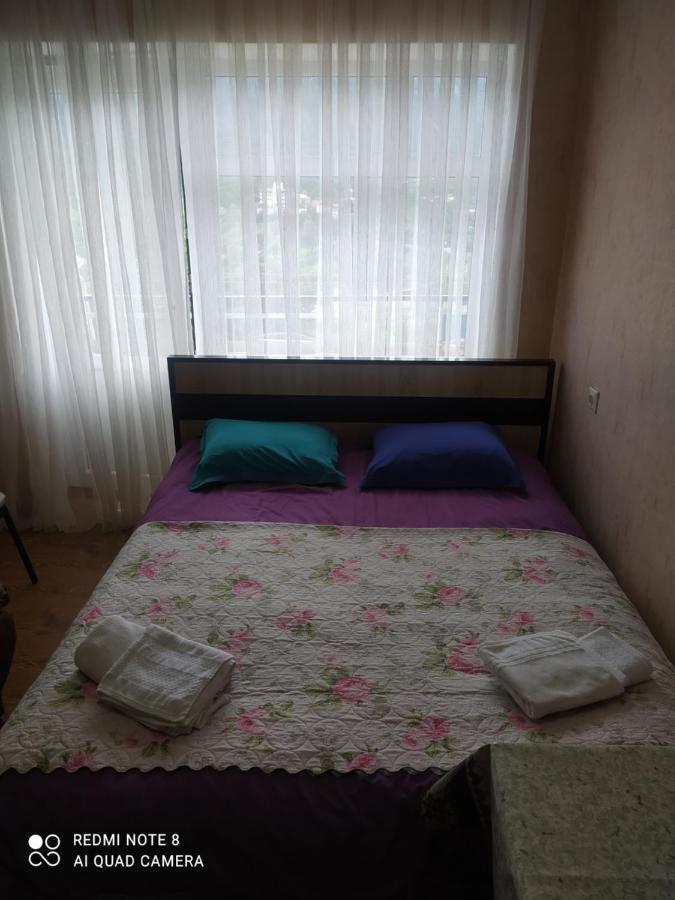 Alena'S Flat Apartment Borjomi Exterior photo
