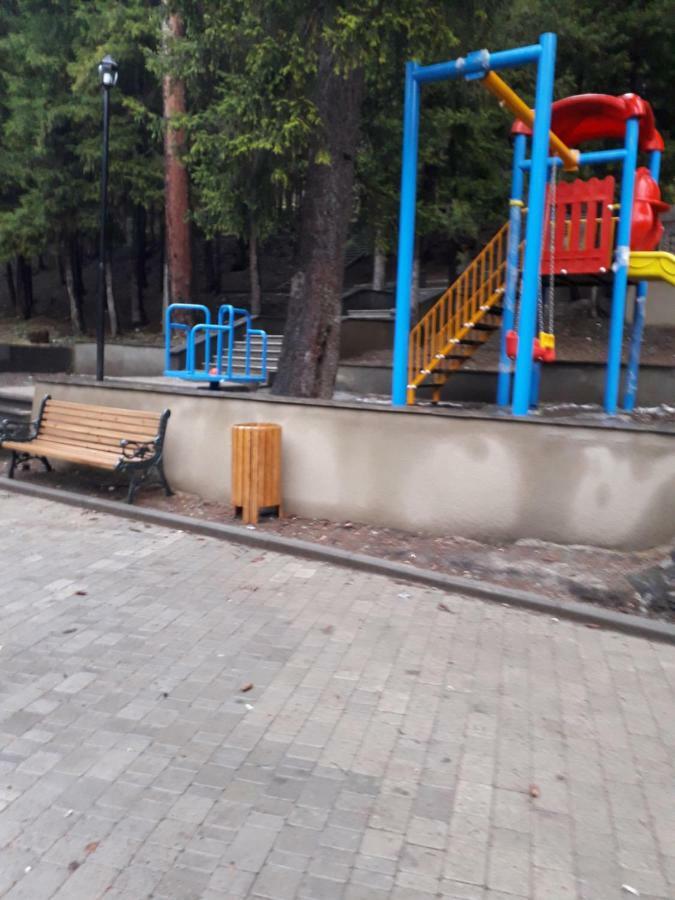 Alena'S Flat Apartment Borjomi Exterior photo